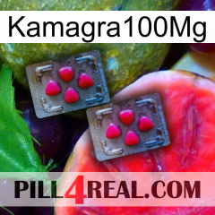 Kamagra100Mg 14